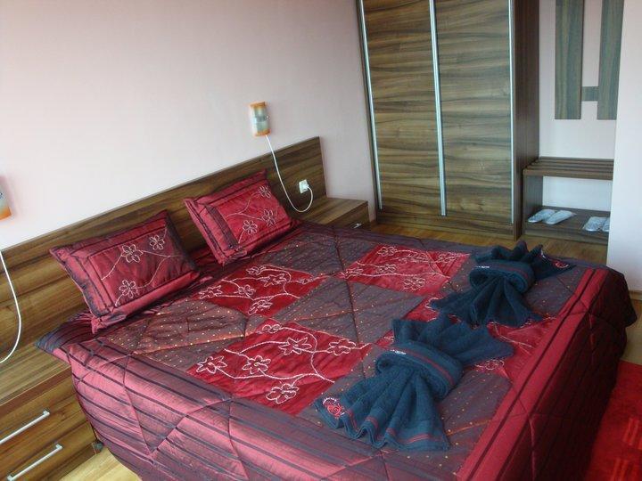 Tzvetelina Palace Hotel Dolna Banya Room photo