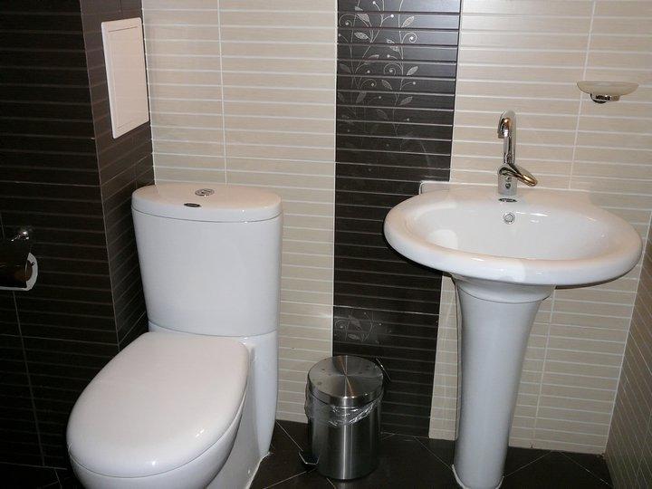Tzvetelina Palace Hotel Dolna Banya Room photo