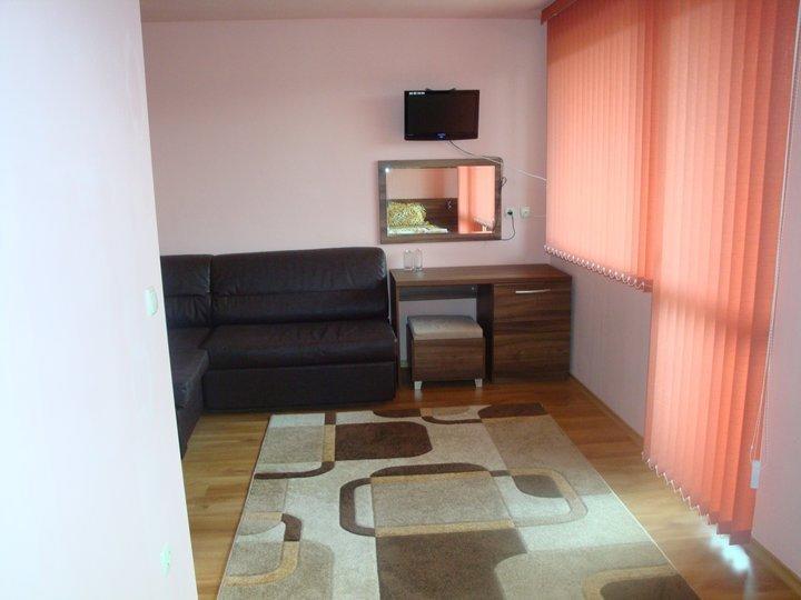 Tzvetelina Palace Hotel Dolna Banya Room photo