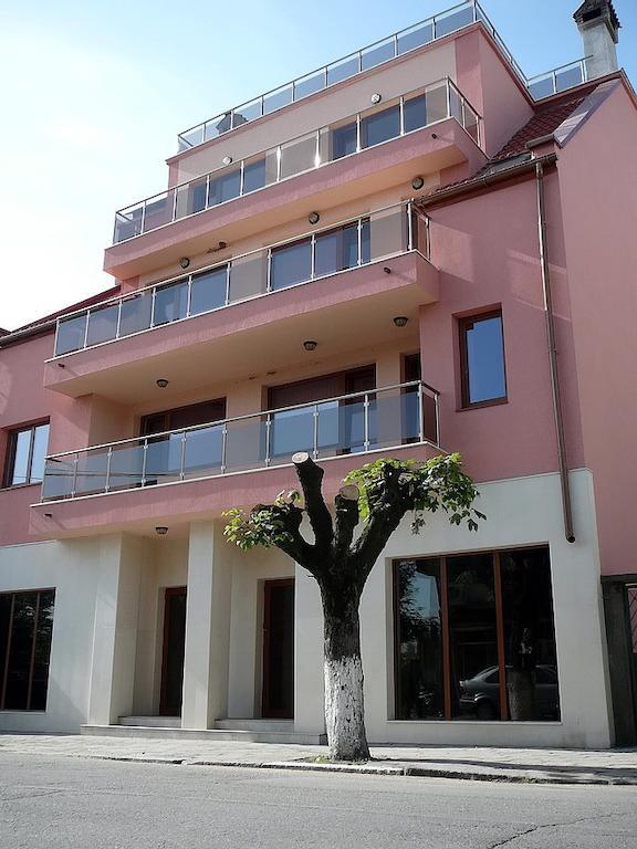 Tzvetelina Palace Hotel Dolna Banya Exterior photo